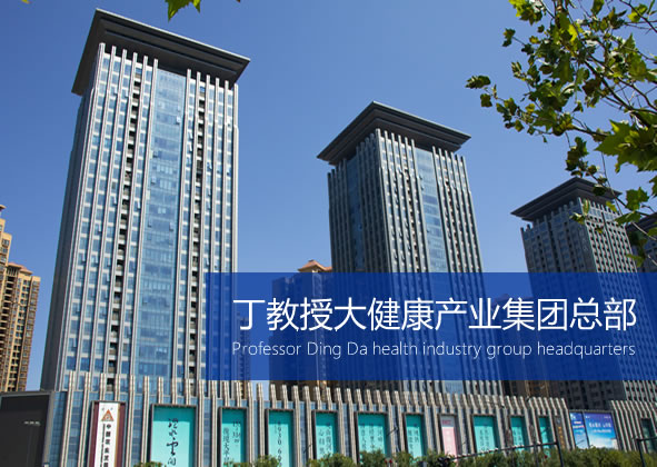 丁教授简介